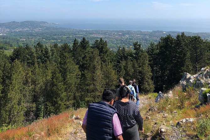 Dublin to Wicklow, Glendalough Small Group Tour with Guided Walk - Guides, pacing, and that small-group advantage
