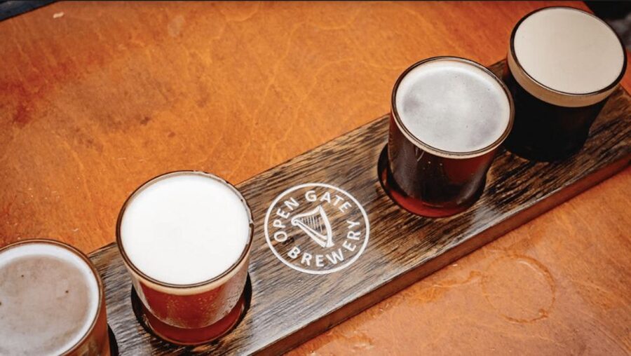Dublin: Traditional Pubs Walking Tour with Local Guide - The Guides Make Or Break It, And This One Leans Strong
