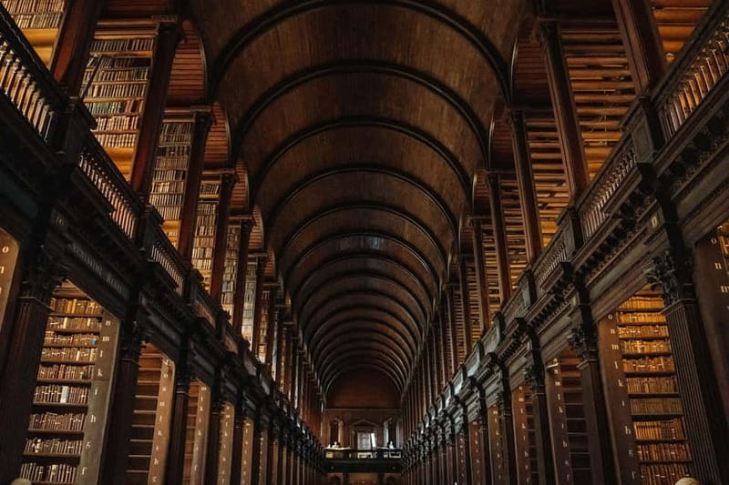 Dublin: Trinity College, Castle, Guinness and Whiskey Tour - What kind of traveler this fits best