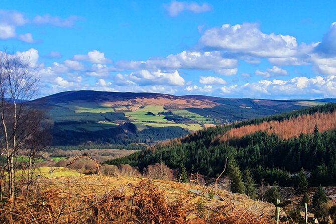 Dublin & Wicklow Mountain Pub Tour small group tour max 15 people - Glenmalure Lodge, Rathdrum, and Bray: Pubs Where You Actually Chat