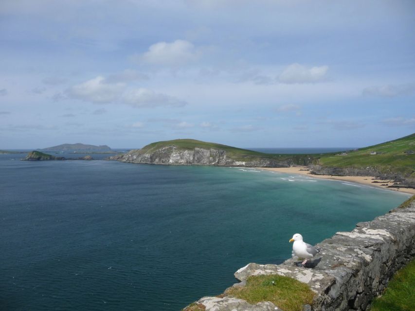 From Dublin: 5-Day Tour to the Southwest with Accommodation - Dingle Peninsula: Atlantic beaches you can actually walk