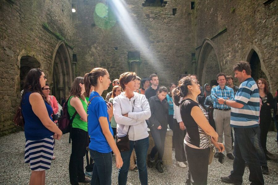 From Dublin: Blarney, Rock of Cashel and Cahir Castles Tour - Who This Day Trip Fits Best (and Who Should Rethink It)