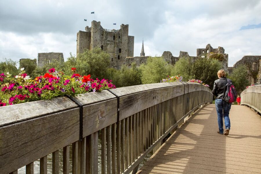 From Dublin: Celtic Boyne Valley and Ancient Sites Tour - Trim Castle: Ireland’s Biggest Anglo-Norman Fortress Stop