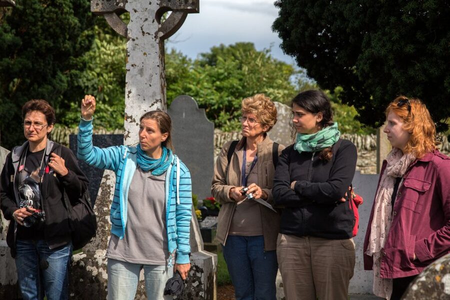 From Dublin: Celtic Boyne Valley and Ancient Sites Tour - Molly Malone Start Point and the Rhythm of the Day