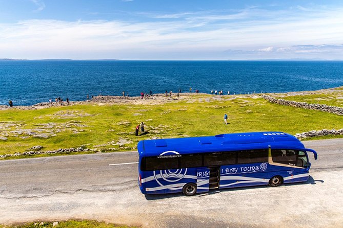 From Dublin: Cliffs of Moher, Bird of Prey & Aillwee Cave - Meeting at the Molly Malone Statue, Then West to Clare