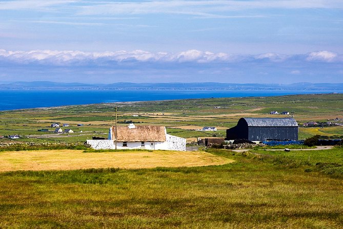 From Dublin: Cliffs of Moher, Bird of Prey & Aillwee Cave - The Boat Portion From the Atlantic, and What Happens When It Does Not Run
