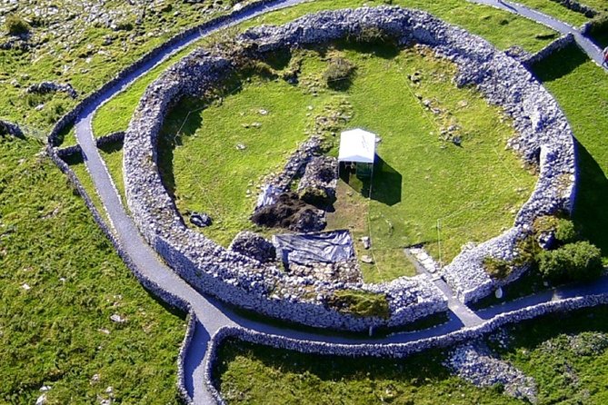 From Dublin: Cliffs of Moher, Bird of Prey & Aillwee Cave - Bird of Prey Demonstration: A Short Show That Still Fits the Day