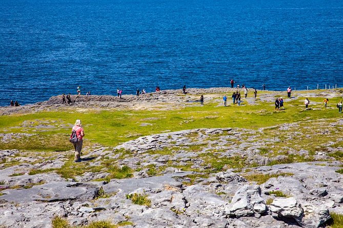 From Dublin: Cliffs of Moher, Bird of Prey & Aillwee Cave - Price and Value: What $126.15 Buys You in One Day