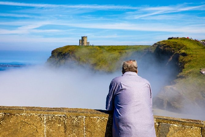 From Dublin: Cliffs of Moher, Bird of Prey & Aillwee Cave - Fanore Lunch at O’Donohue’s Pub, Your One Real Food Stop