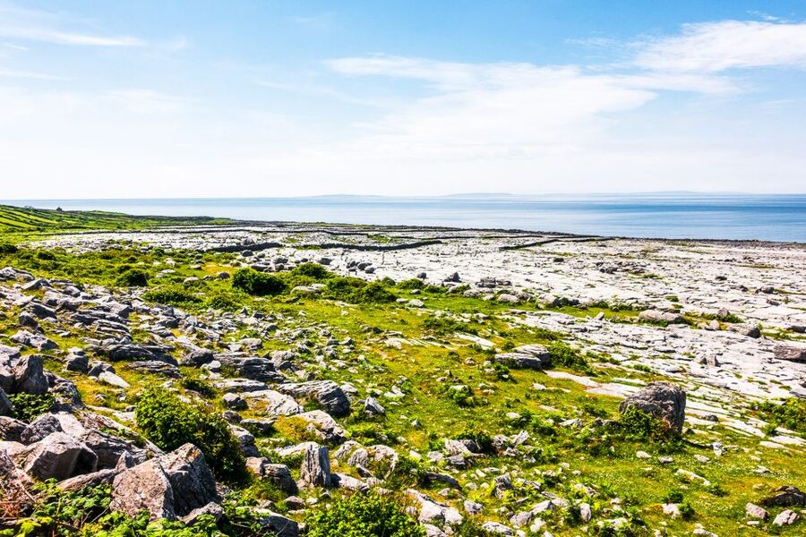 From Dublin: Cliffs of Moher, Burren & Galway City Day Tour - The Burren’s “lunar” terrain and why it feels strange in the best way