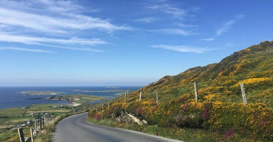From Dublin: Connemara and Galway Bay Day Tour - From Dublin to Connemara without the hassle