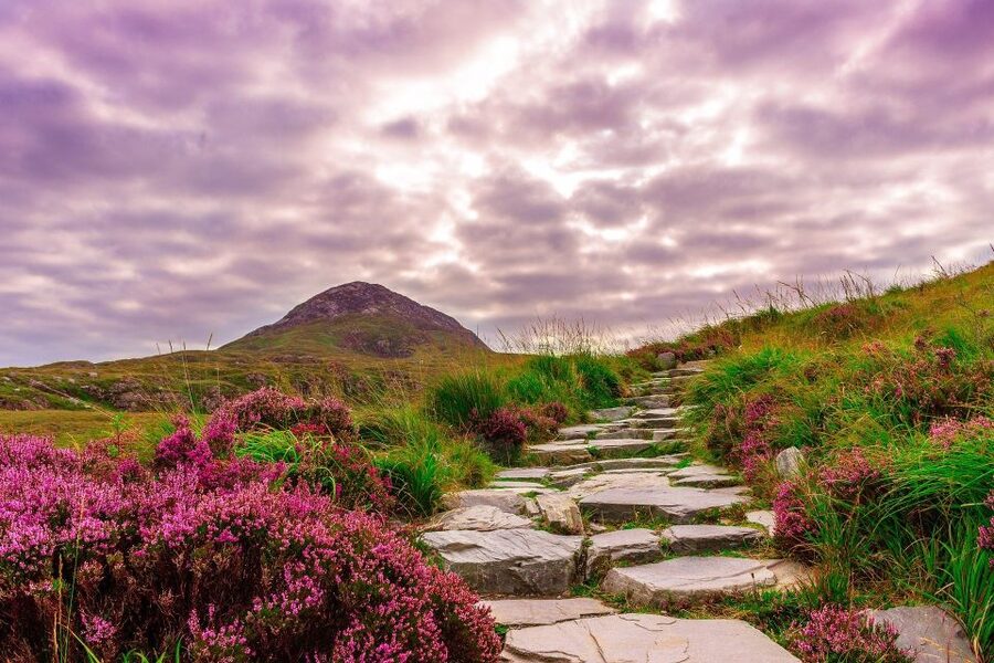 From Dublin: Connemara and Galway Bay Day Tour - Northern Galway Bay shores and your return to Galway