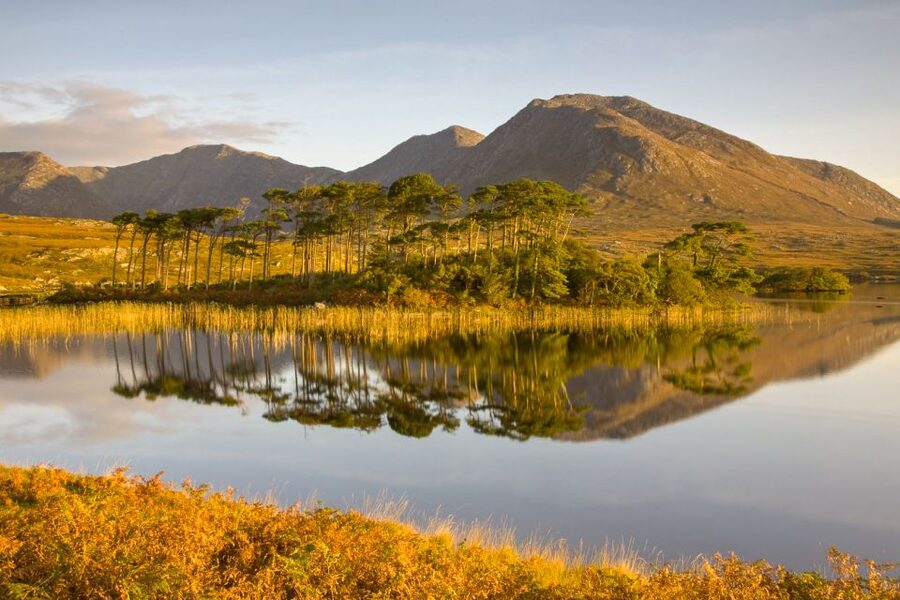 From Dublin: Connemara and Galway Full-Day Tour - Who this day trip is best for