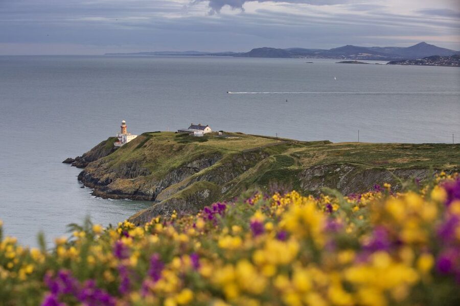 From Dublin: Half-Day Guided Coastal Tour to Howth Village - St. Mary’s Abbey ruins and the Martello Tower glimpse