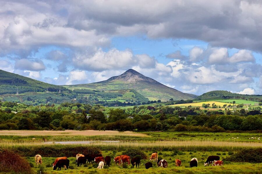 From Dublin: Wicklow Mountains, Glendalough & Kilkenny Tour - Who should book this Wicklow and Kilkenny day trip