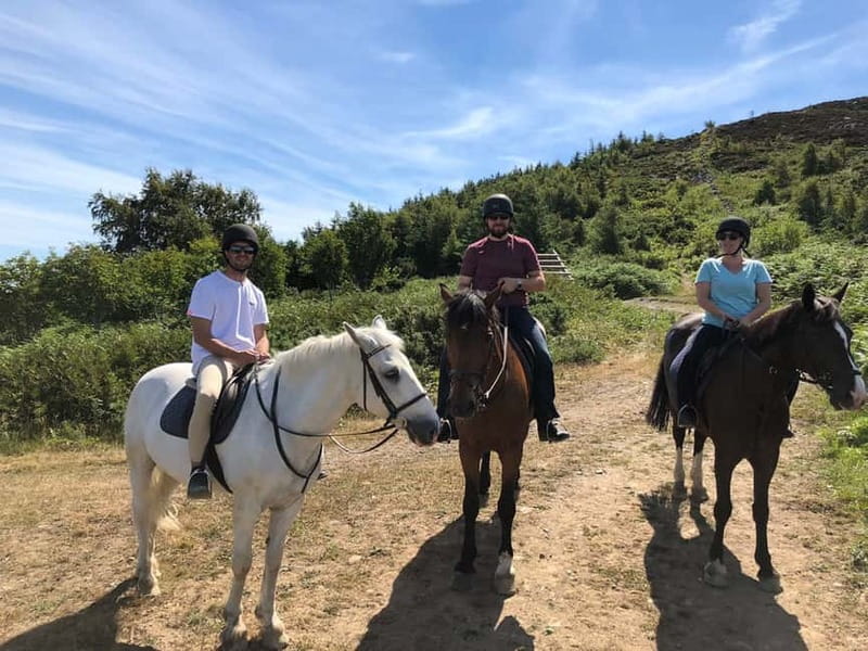 From Dublin: Wicklow, Powerscourt, and Glendalough Day Tour - Money and Value: What You Pay, What You Get