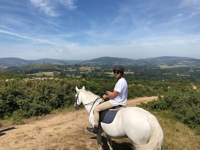 From Dublin: Wicklow, Powerscourt, and Glendalough Day Tour - Enniskerry Lunch Break: A Real Village Reset (Not Just a Stoplight)