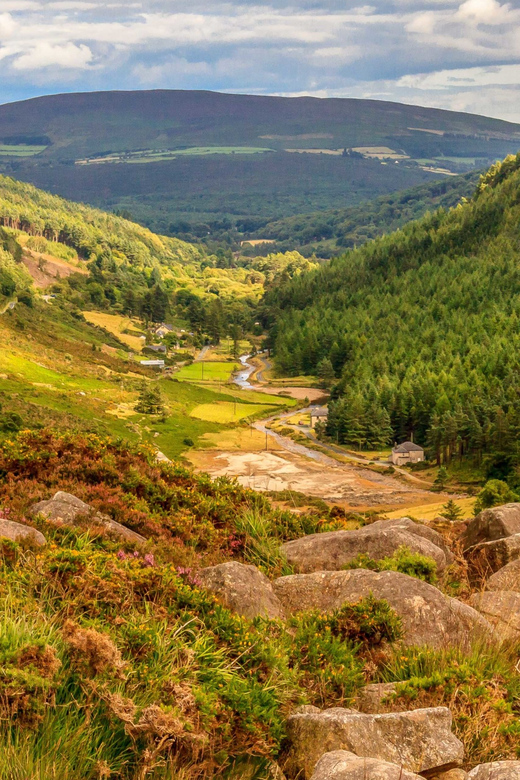 From Dublin: Wild Wicklow Mountains and Glendalough Tour - Key things to love about this Dublin to Wicklow tour