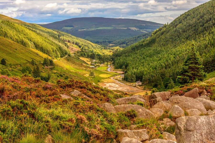 From Dublin: Wild Wicklow Mountains and Glendalough Tour - The Glendalough whiskey tasting, and a sweet ending that still fits