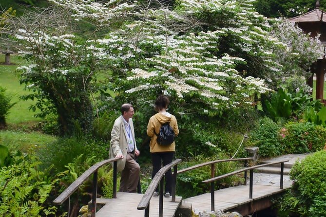 Full Day Private Wicklow Tour - Timing, Private Transport, and Why This Format Feels Easier