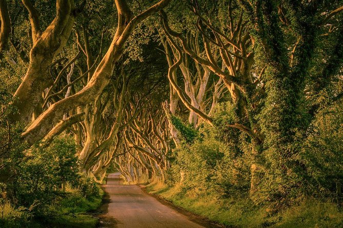 Giant Causeway, Dark Hedges & Whiskey Distillery tour from Dublin - Dunluce Castle Stop: A Short Visit With Big Drama