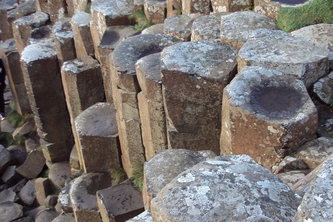 Giant's Causeway, Dark of Hedges & Belfast Day Tour From Dublin - Dark Hedges: your best 40 minutes for photos and the Game of Thrones effect