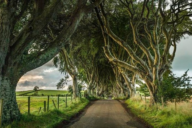 Giant's Causeway Day Tour from Dublin - Glens of Antrim and the North Coast drive you can actually enjoy