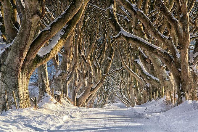 Giant's Causeway with the Titanic Exhibition and the best of Northern Ireland - A one-day Northern Ireland sprint from Dublin
