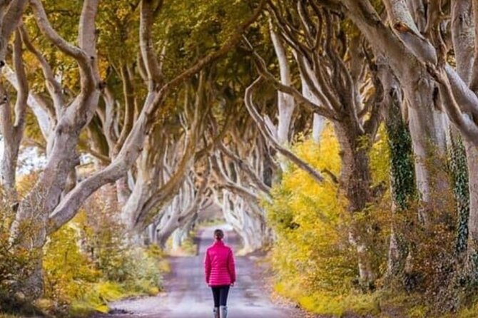 Giants Causeway and Belfast 2 Days with Private Chauffeur Tour - The Dark Hedges: Game of Thrones Kingsroad in real time