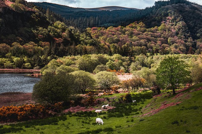 Glendalough Day Tour from Dublin: Including Kilkenny City - Kilkenny in two hours: medieval streets, castle gardens, and round towers