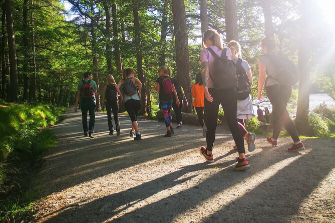 Glendalough Night Hike and History Tour - Who should book this Glendalough night hike