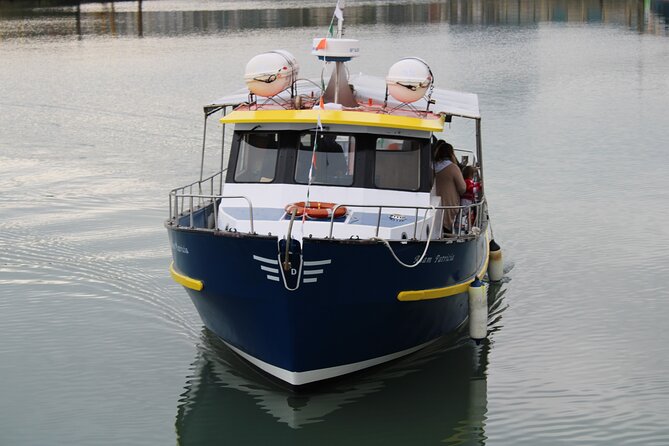Howth Cliffs and Ireland's Eye Ferry Boat Tour - Howth Lighthouse as you exit the harbor, then straight to the wild side