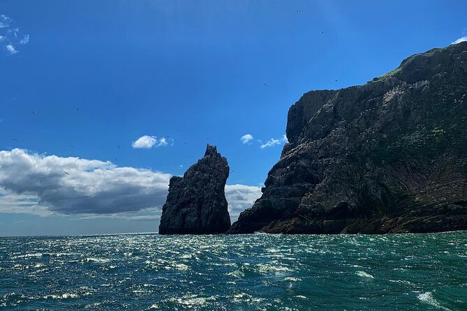 Howth Cliffs and Ireland's Eye Ferry Boat Tour - How long is enough? timing, photo stops, and what feels worth it
