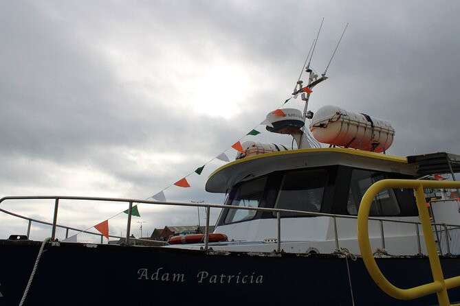 Howth Cliffs and Ireland's Eye Ferry Boat Tour - What to wear, bring, and expect on a mostly open-air boat