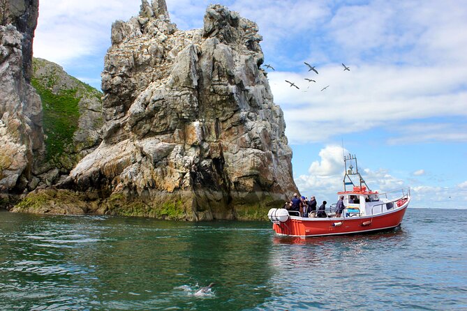 Howth Coastal Boat Tour (Ireland's Eye Ferries 50 mins trip) - Key Things I’d Plan Around