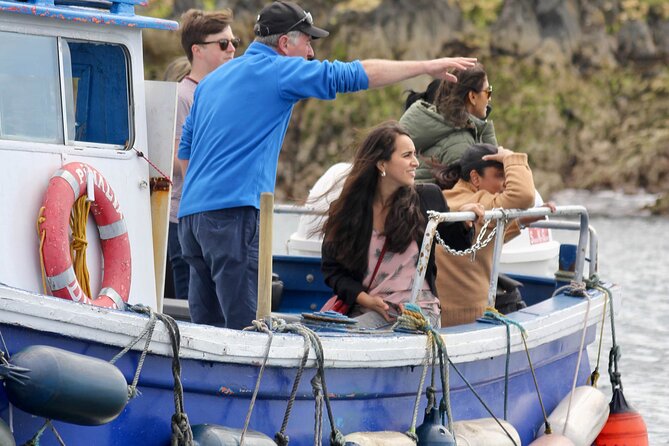 Howth Coastal Boat Tour (Ireland's Eye Ferries 50 mins trip) - Getting To Howth Pier Fast, From Dublin