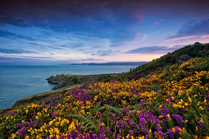 Howth Coastal Half-Day Bus Tour from Dublin with Live Guide - Howth Village free time: where lunch and wandering actually happen