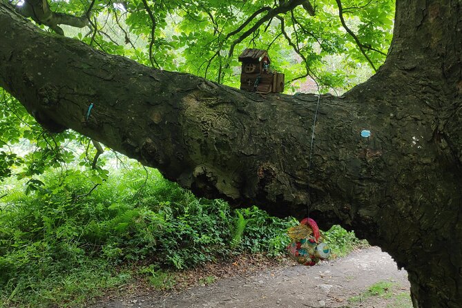 Howth Hiking Trail from Dublin: Mythology and Legend - Getting to Howth, without turning it into a logistics headache