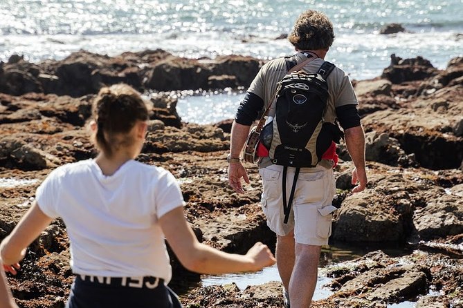 Howth Safari Hiking Tour - Howth Summit and the way back: choose your ending
