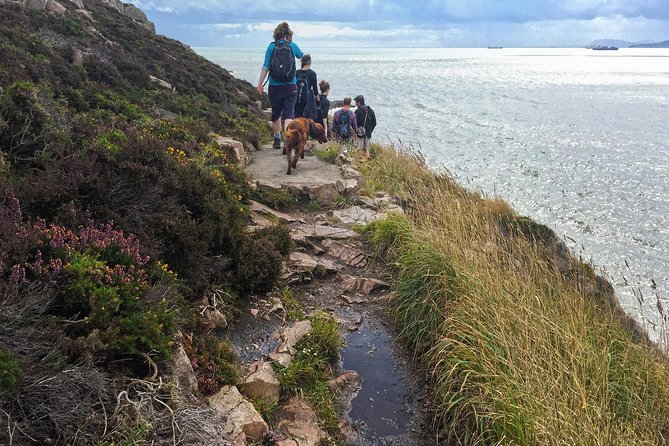 Howth Safari Hiking Tour - Guide style and group size: why it feels welcoming without being slow