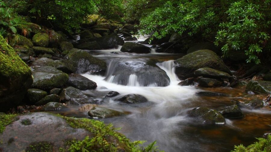 Ireland: 2 Day Wild Atlantic Way Tour - Day 2: Dingle Peninsula to Killarney, Ring of Kerry highlights, and a Torc Waterfall moment