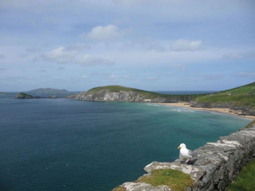 Ireland's North Atlantic Coast 5-Day Tour from Dublin - Sligo, Benbulben, and Carrowmore’s ancient gravity