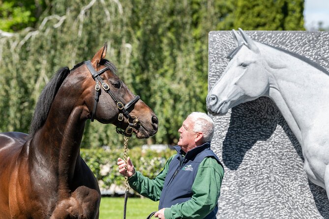 Irish National Stud & Gardens Skip the line Entrance - Who this works for, and who may want to adjust expectations