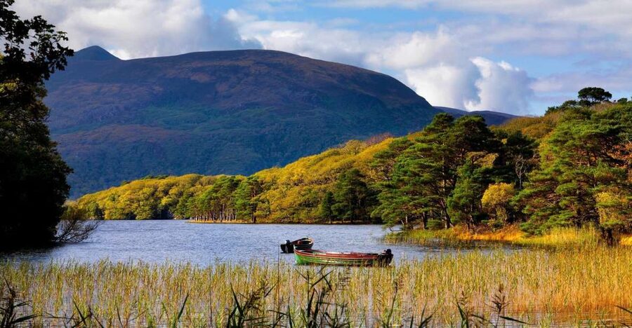 Kerry: Full-Day Tour from Dublin - Why County Kerry feels bigger than a day trip