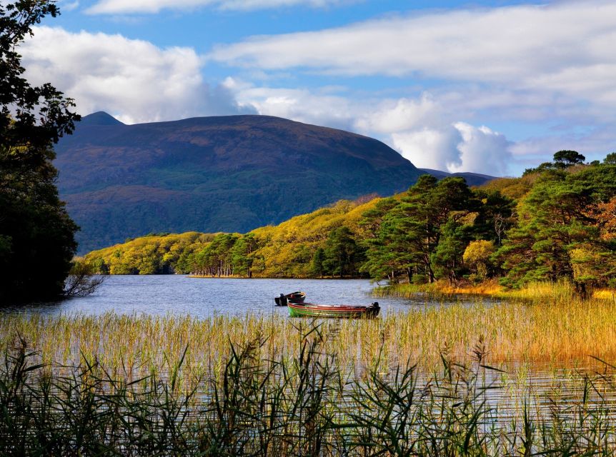 Kerry: Full-Day Tour from Dublin - Killorglin and the Puck Fair goat-king tradition