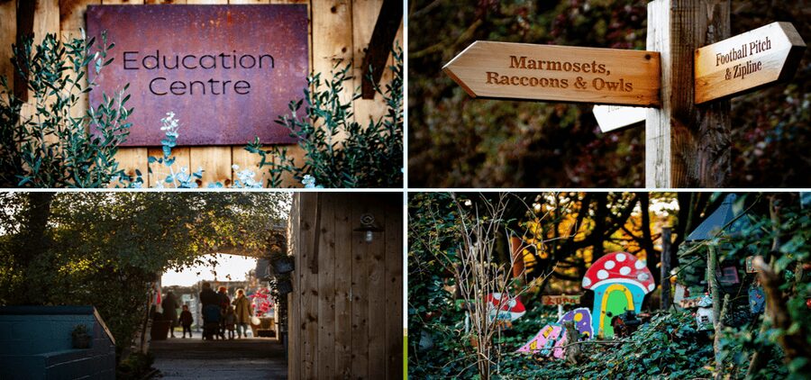 Kildare: Clonfert Farm General Admission Ticket - Why Clonfert Farm Works As a Quick Family Break From Dublin