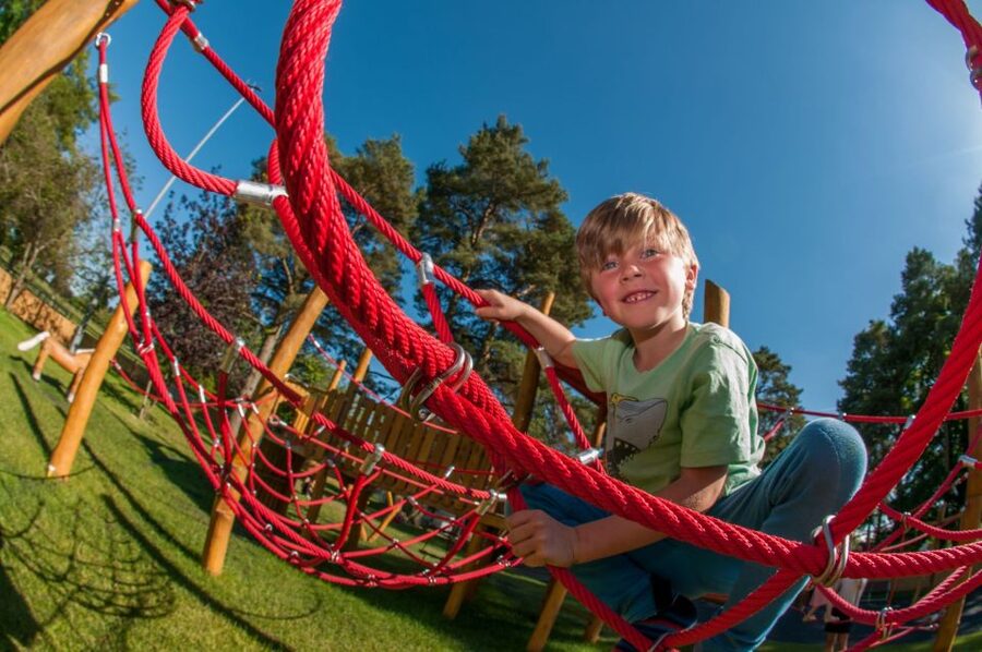 Kildare: Irish National Stud & Gardens - Key things to know before you go