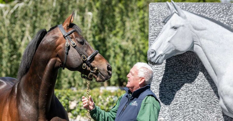 Kildare: Irish National Stud & Gardens - The Interactive Irish Racehorse Experience: horse box to simulated race day
