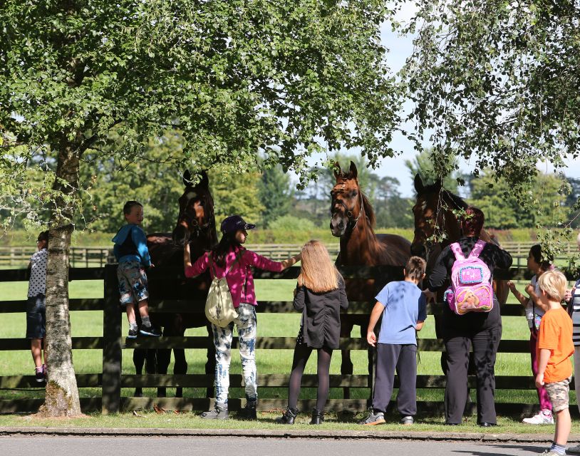 Kildare: Irish National Stud & Gardens - Best time to visit: February to September, then plan for wind-down