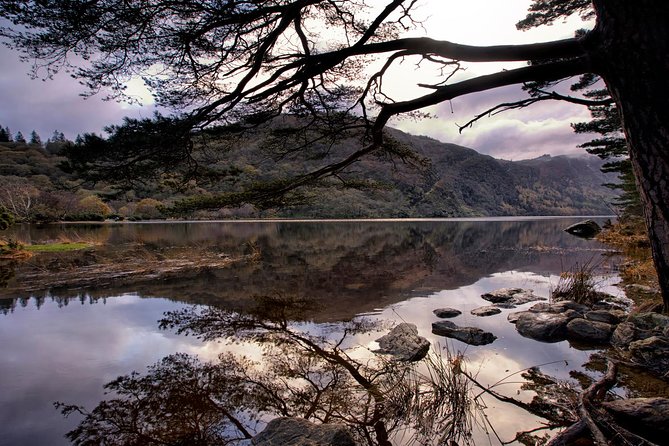 Kilkenny, Wicklow Mountains & Glendalough Day Tour from Dublin - The sheep farm stop in the Wicklow foothills (where the day gets real)
